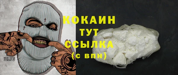 спайс Ладушкин