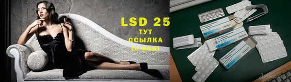 спайс Ладушкин