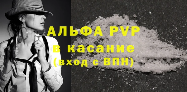 спайс Ладушкин