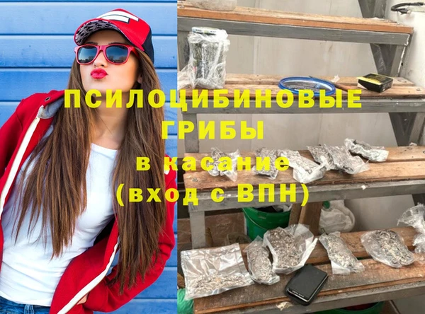 твердый Лиски