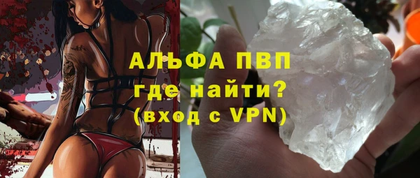спайс Ладушкин