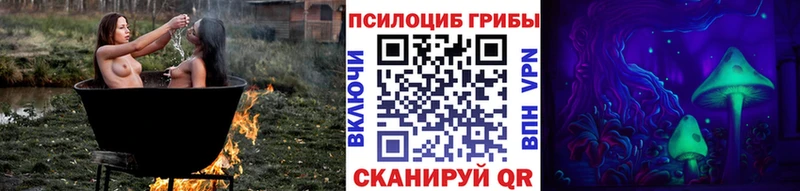Галлюциногенные грибы Psilocybe  Чёрмоз 